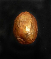 /album/galeria/p1120176-jpg1/