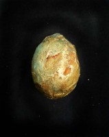 /album/galeria/p1120178-jpg1/