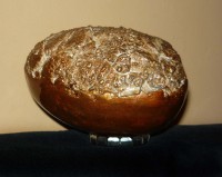 /album/galeria/p1120224-jpg1/