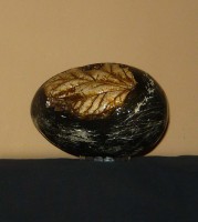 /album/galeria/p1120241-jpg1/