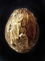 /album/galeria/p1120153-jpg/